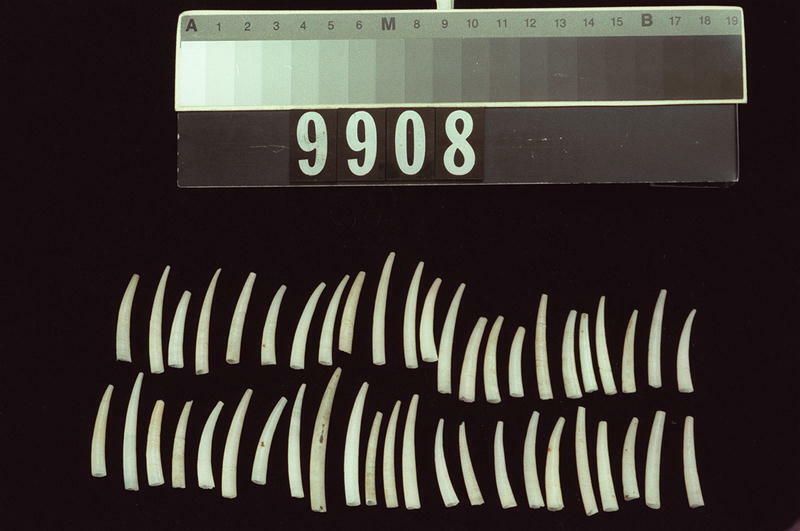 Image representing Raw Material.