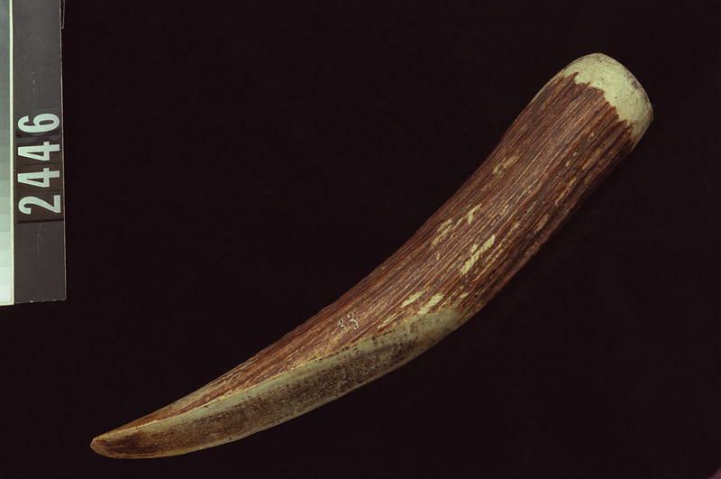 Image representing Wedge.