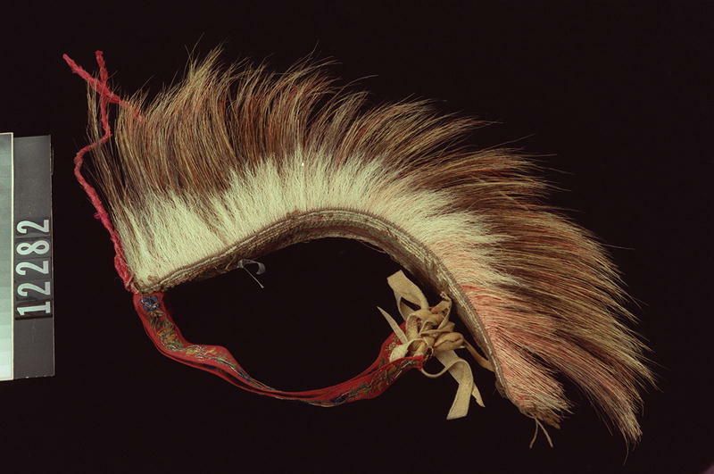 Image representing Roach.