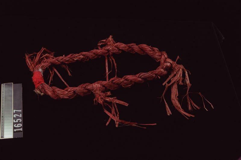 Image representing Ring.