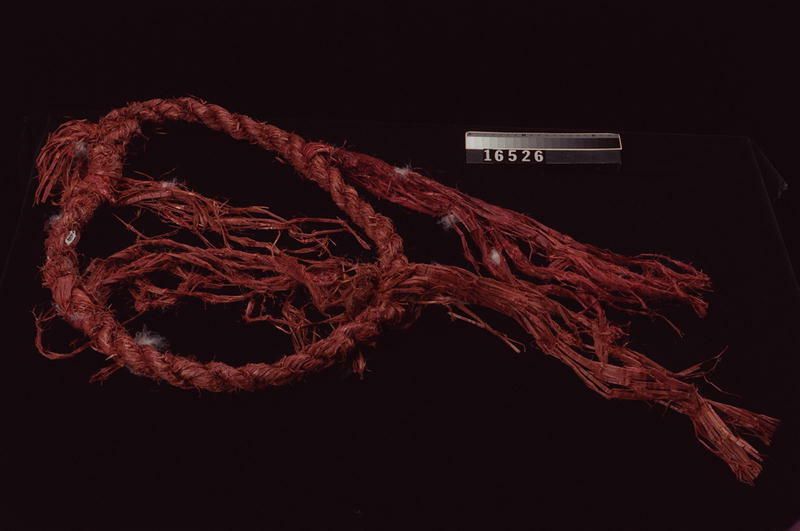 Image representing Ring.