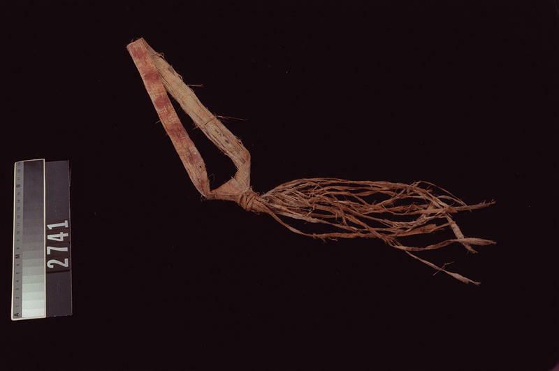 Image representing Band.