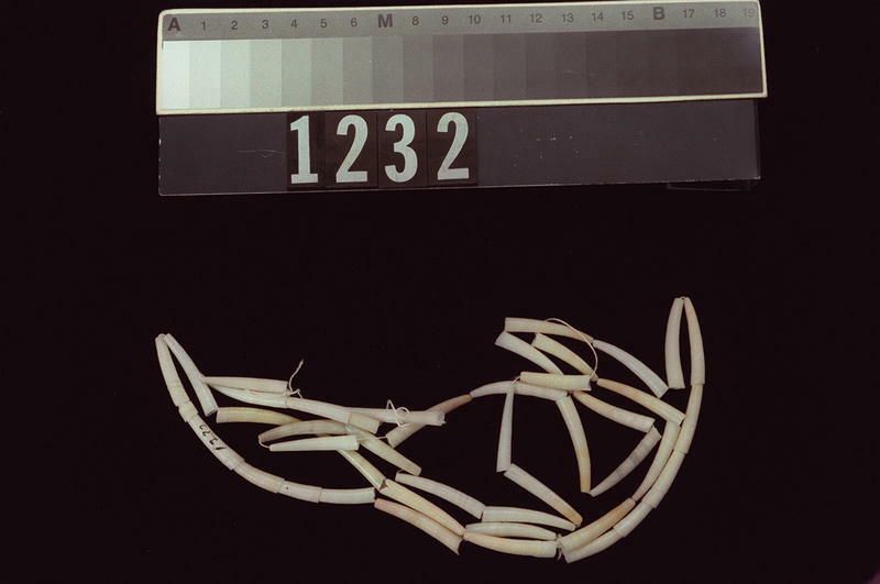 Image representing Necklace.