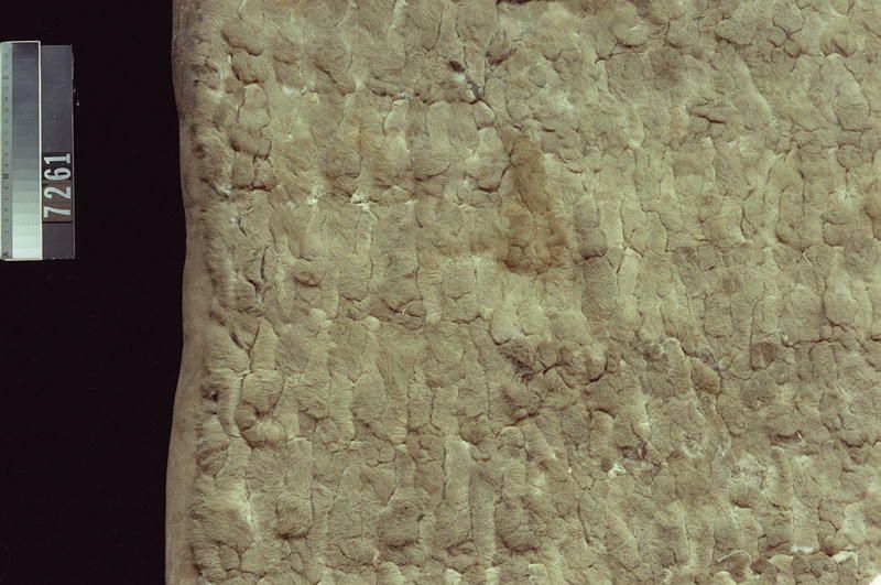 Image representing Robe.