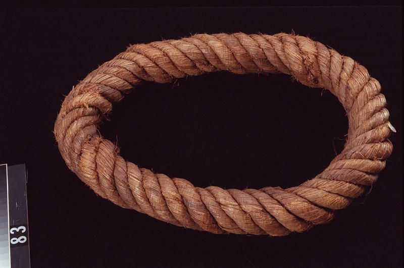 Image representing Ring.