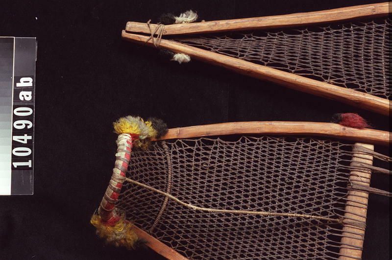 Image representing Snowshoe.