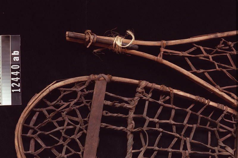 Image representing Snowshoe.