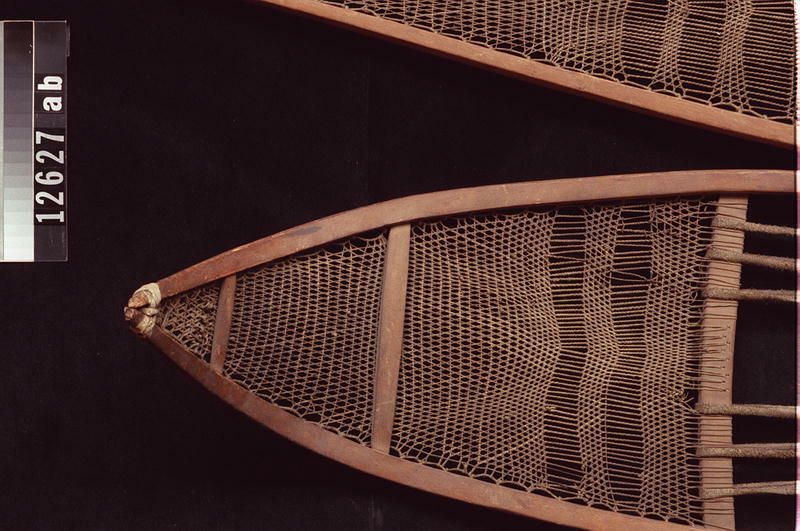 Image representing Snowshoe.