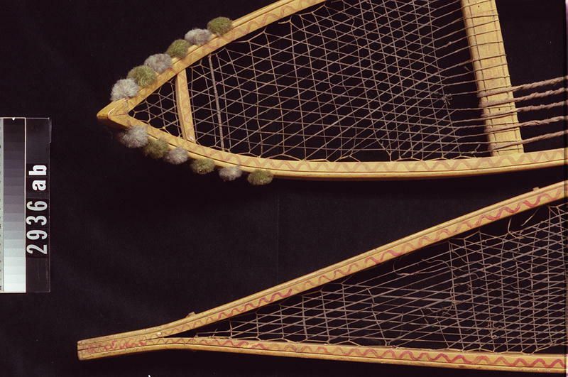 Image representing Snowshoe.