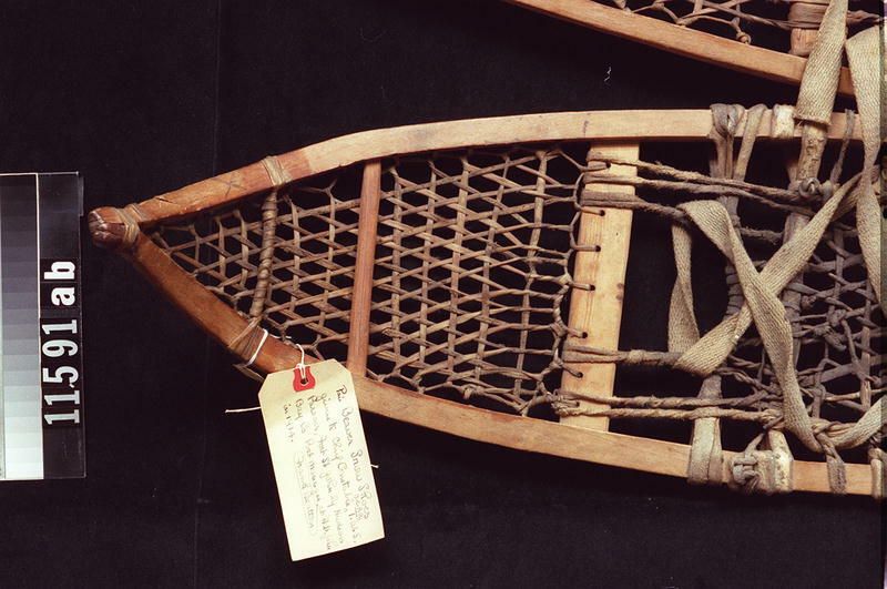 Image representing Snowshoe.