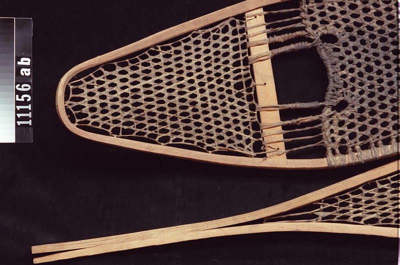 Image representing Snowshoe.