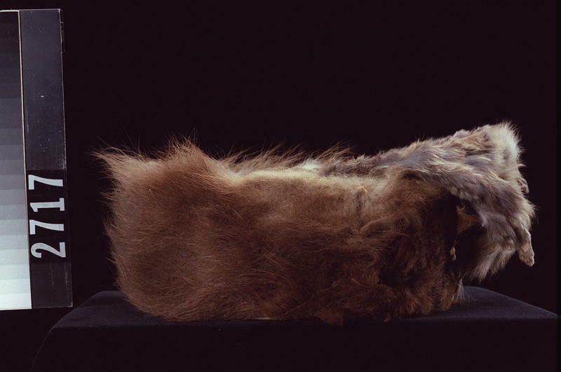 Image representing Headdress.