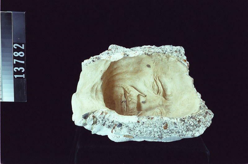 Image representing Mold.
