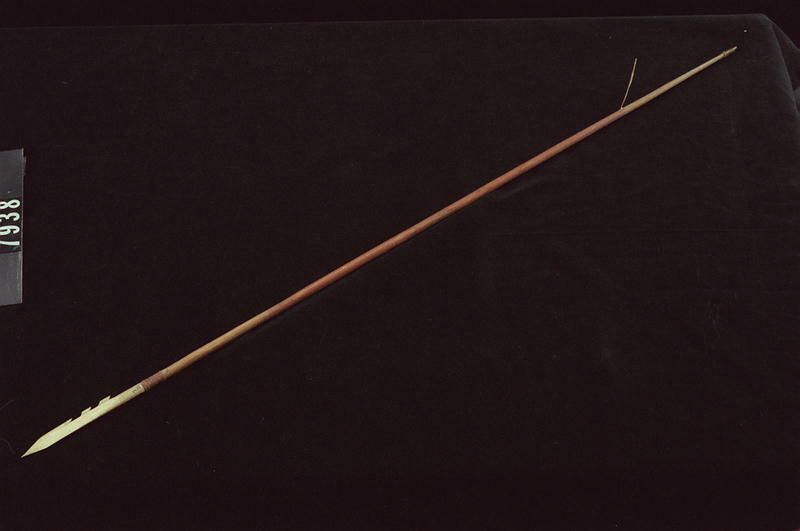 Image representing Arrow.