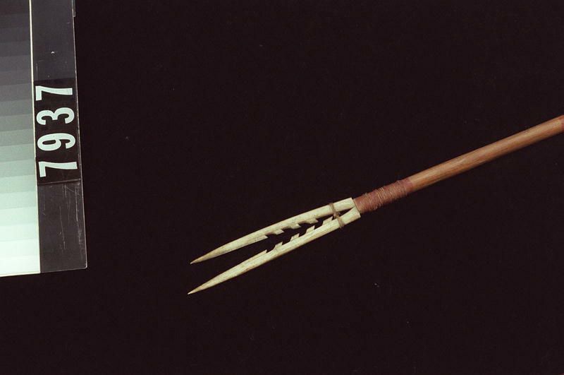 Image representing Arrow.