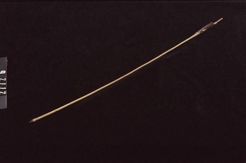 Image representing Arrow.