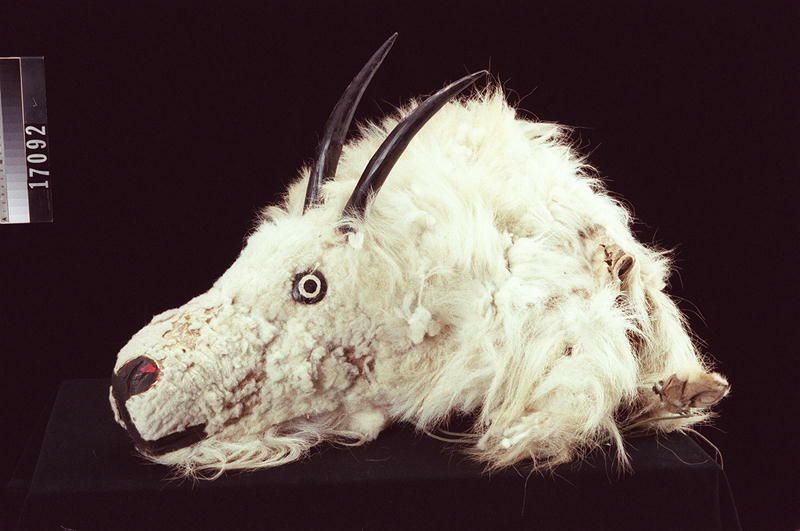 Image representing Mask.