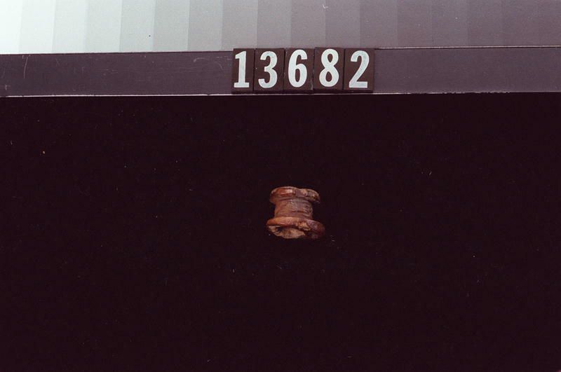 Image representing Labret.