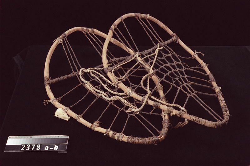 Image representing Snowshoe.