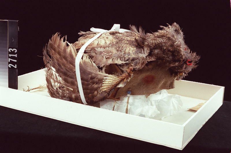 Image representing Cap.