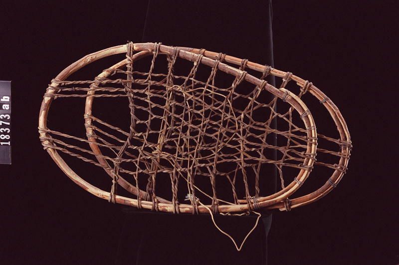 Image representing Snowshoe.