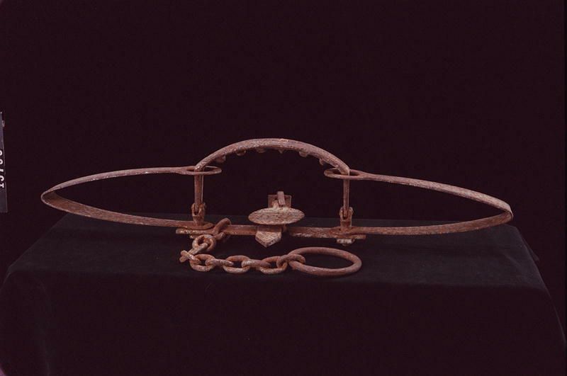 Image representing Trap.