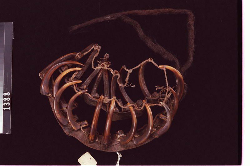 Image representing Crown.