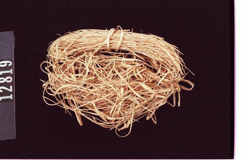 Image representing Prepared Material.