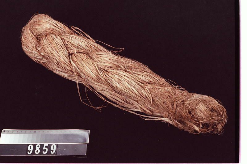 Image representing Hemp.