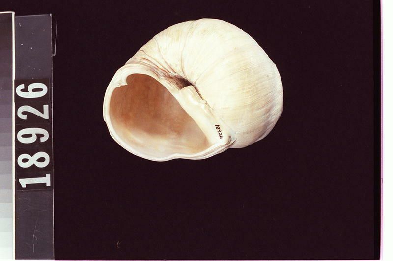 Image representing Medicine.