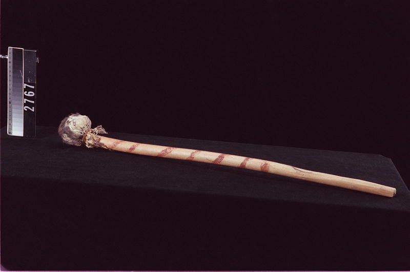 Image representing Stick, walking.