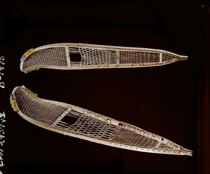 Image representing Snowshoe.