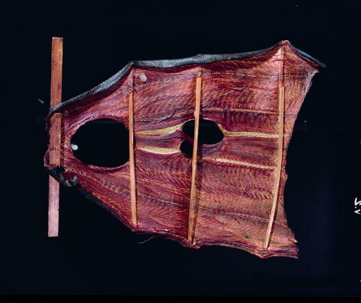 Image representing Raw Material.