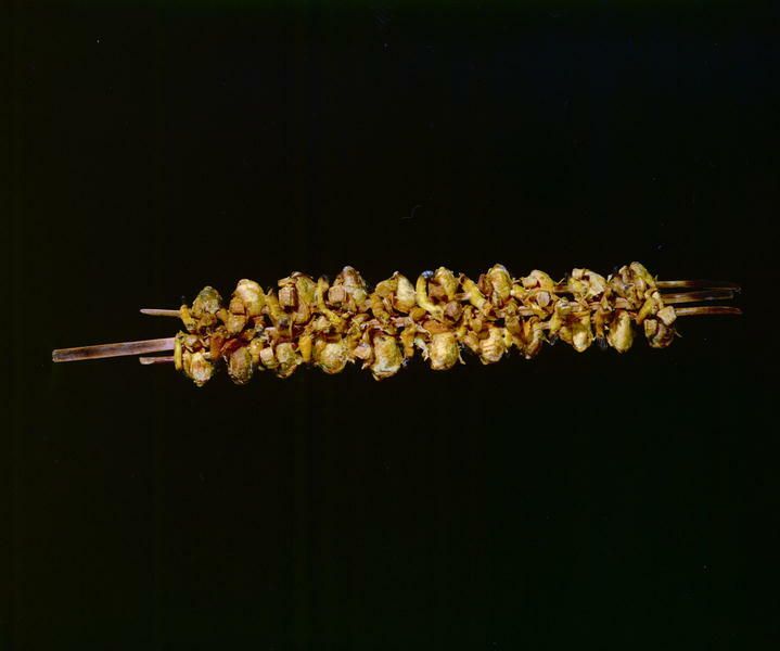 Image representing Raw Material.