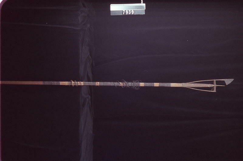 Image representing Leister.