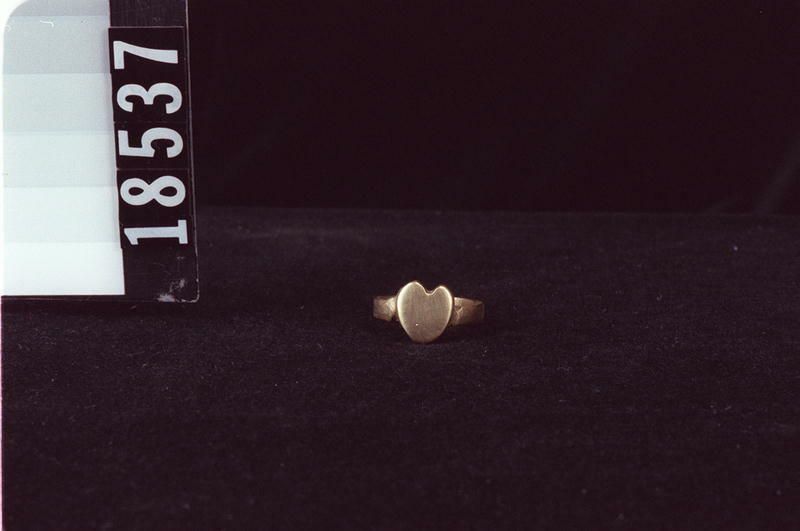 Image representing Ring.