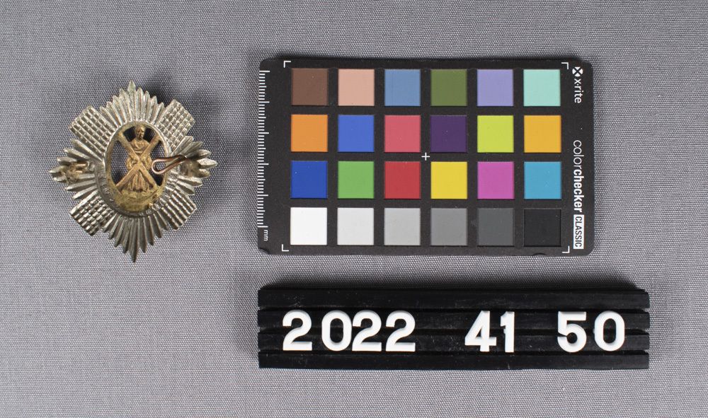 Image representing Badge, Cap.