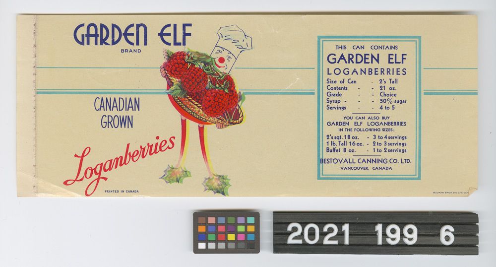 Image représentant Label, Can