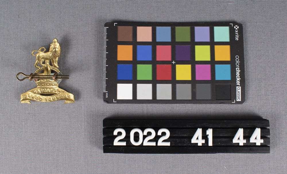 Image representing Badge, Cap.