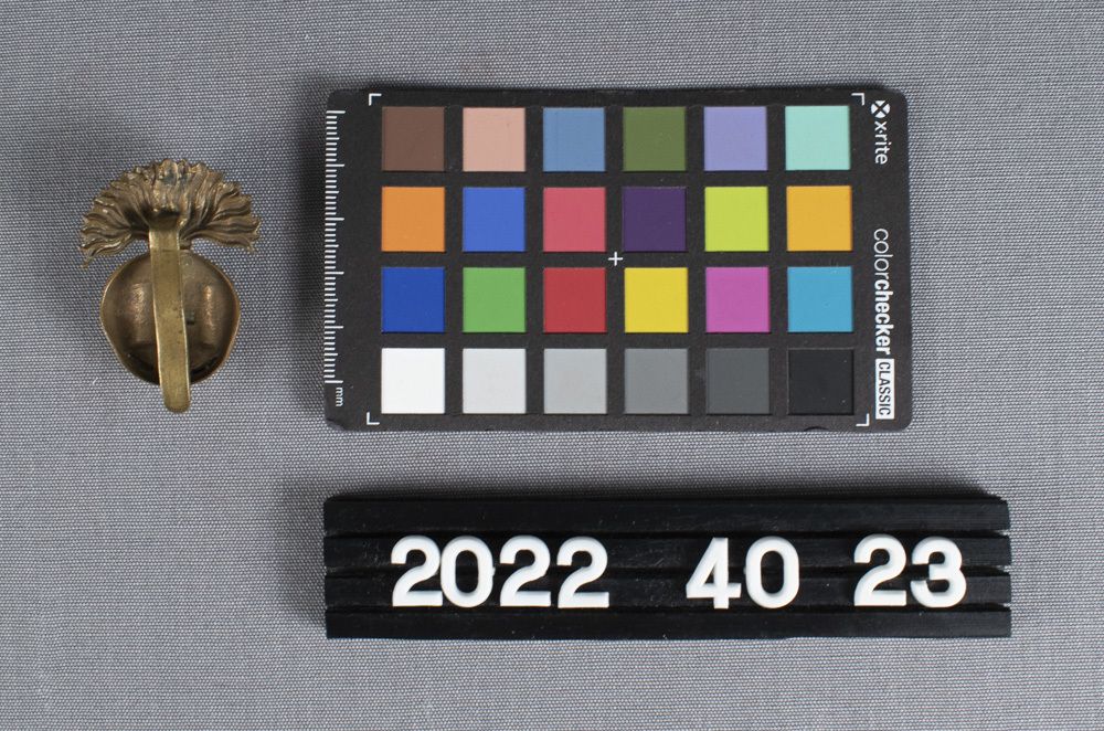 Image representing Badge, Cap.