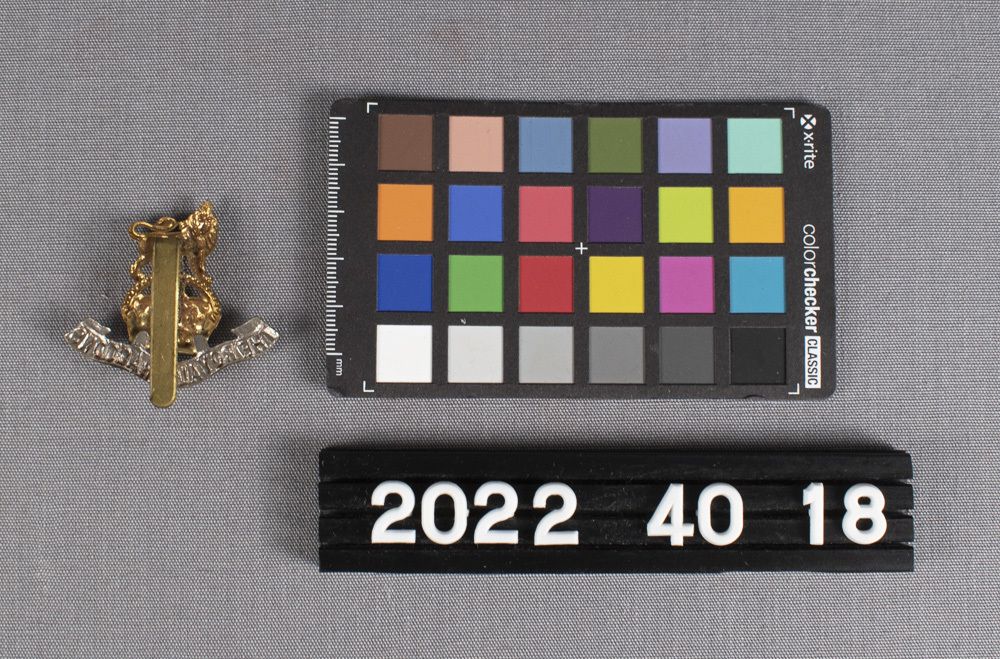 Image representing Badge, Cap.