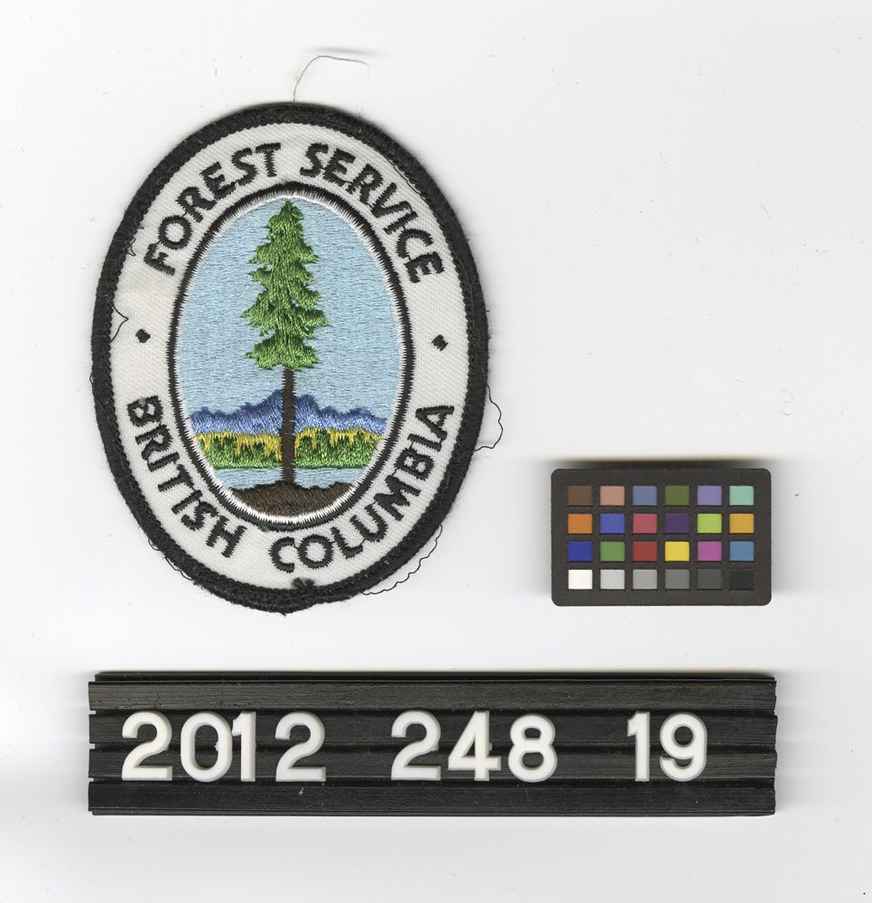 Image representing Patch, Insignia.