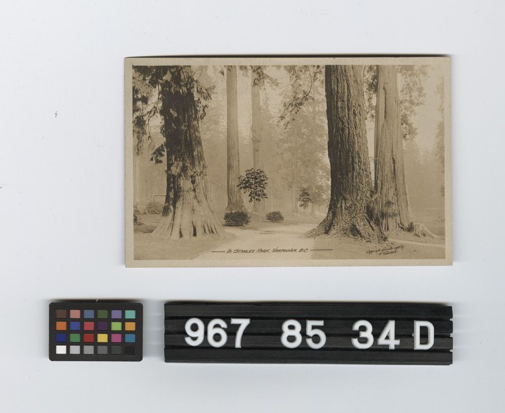 Image representing Postcard.