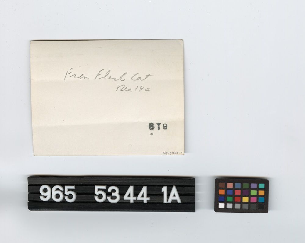 Image representing Print, Photographic.