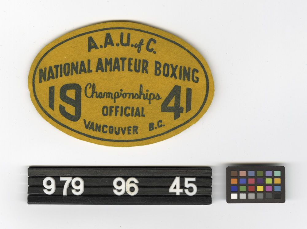 Image representing Patch, Insignia.