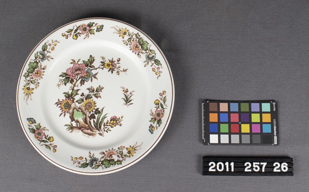 Image representing Plate, Dinner.