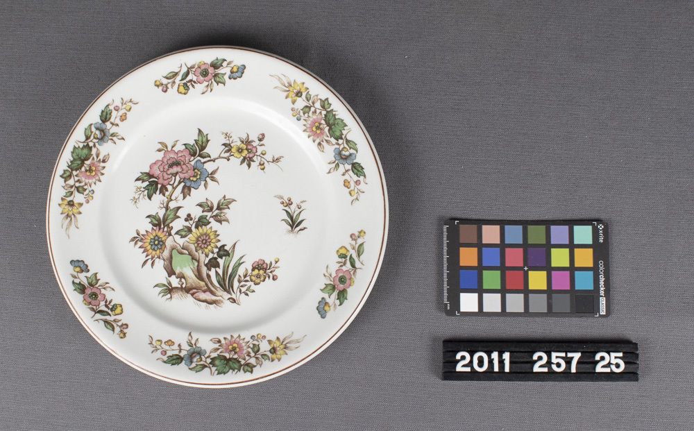 Image representing Plate, Dinner.