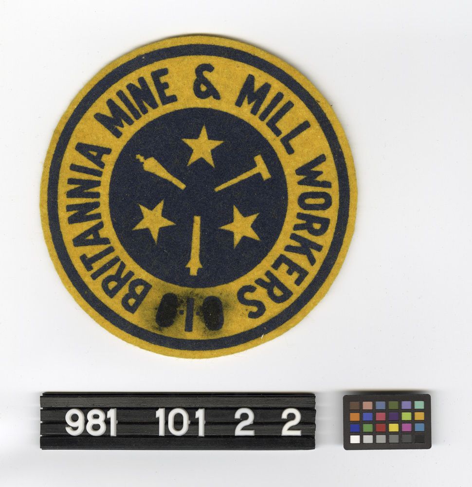 Image representing Patch, Insignia.