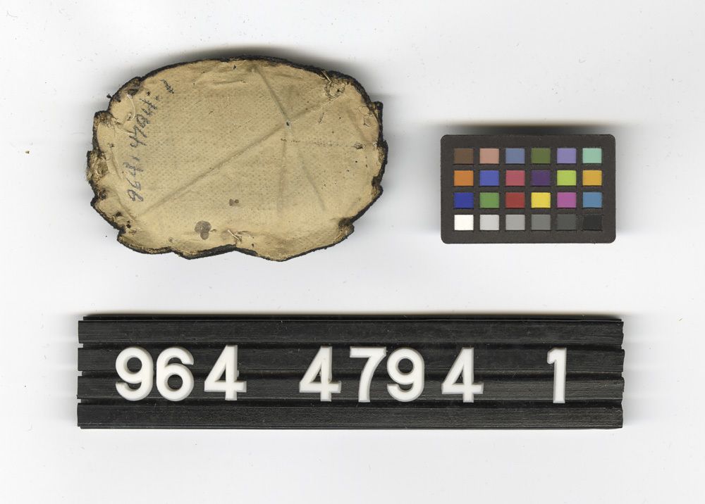 Image representing Badge, Cap.