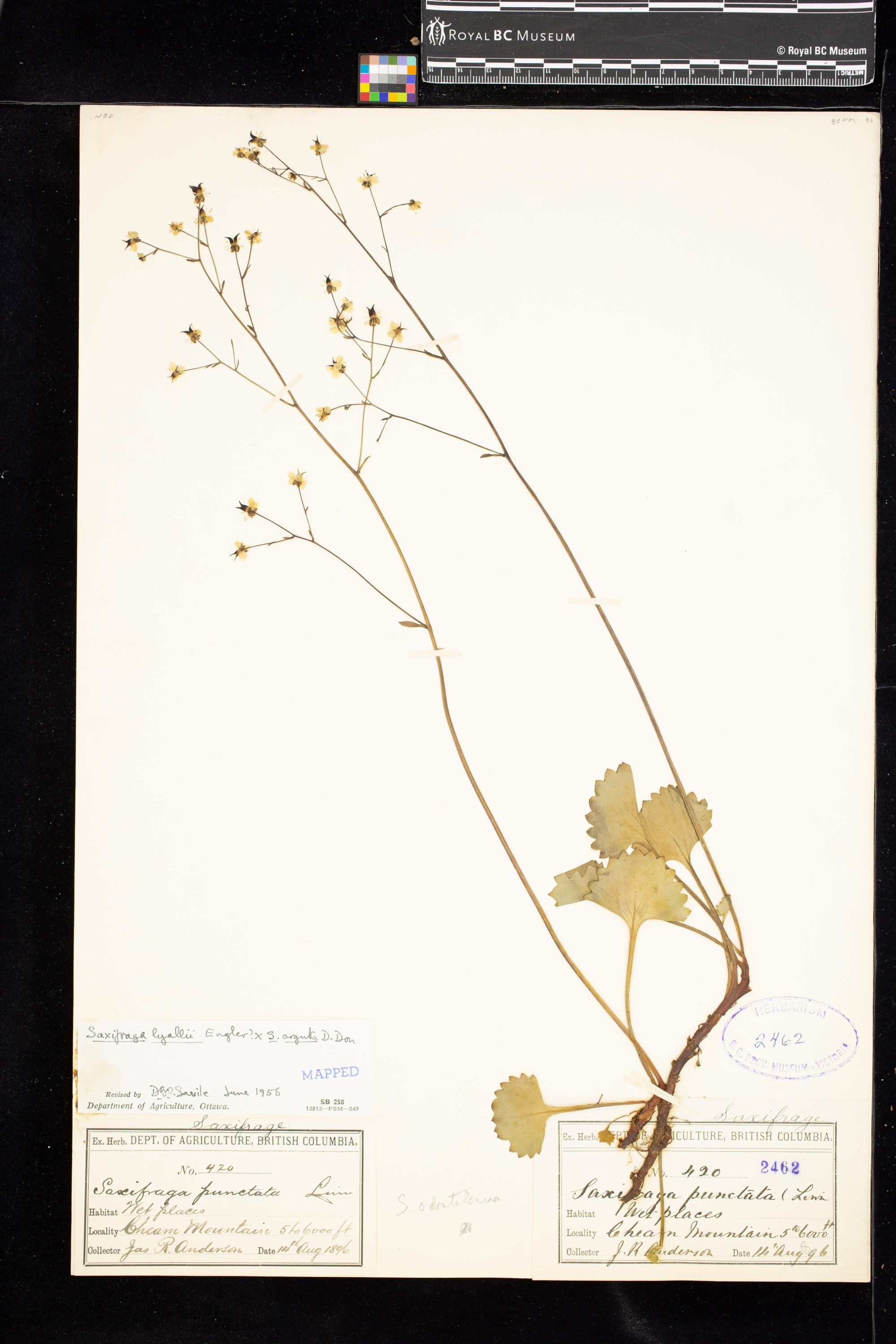 Image representing .